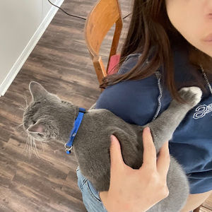 Meet your Posher, Fabi